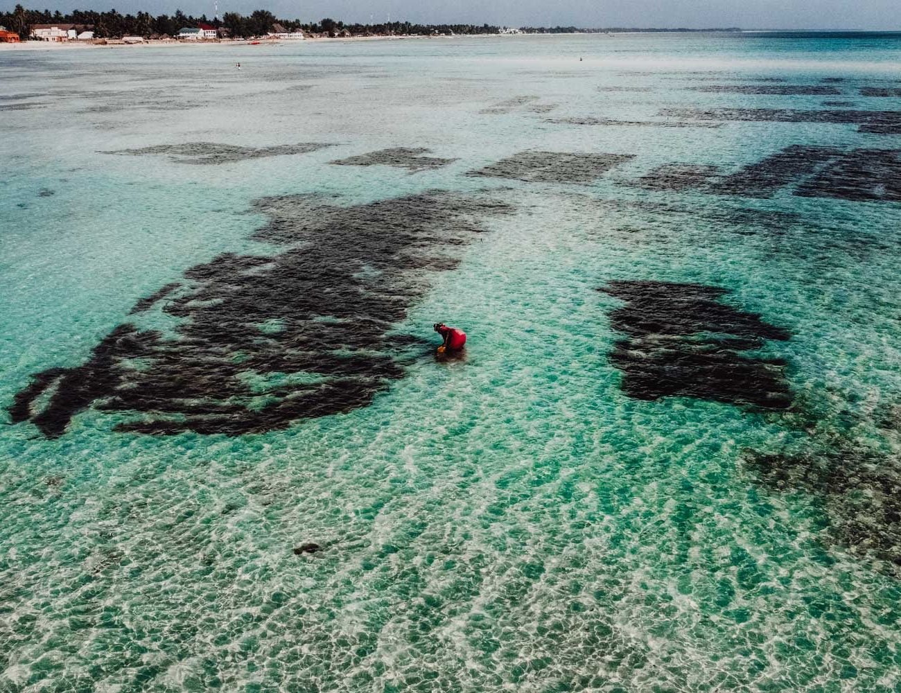 Jambiani Zanzibar Tanzania playa
