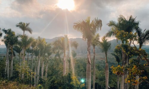 Cosas que hacer en Viñales Cuba portada