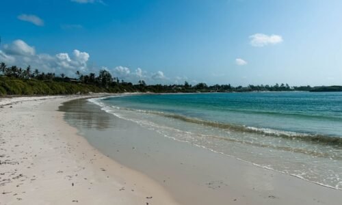 Qué hacer en Watamu