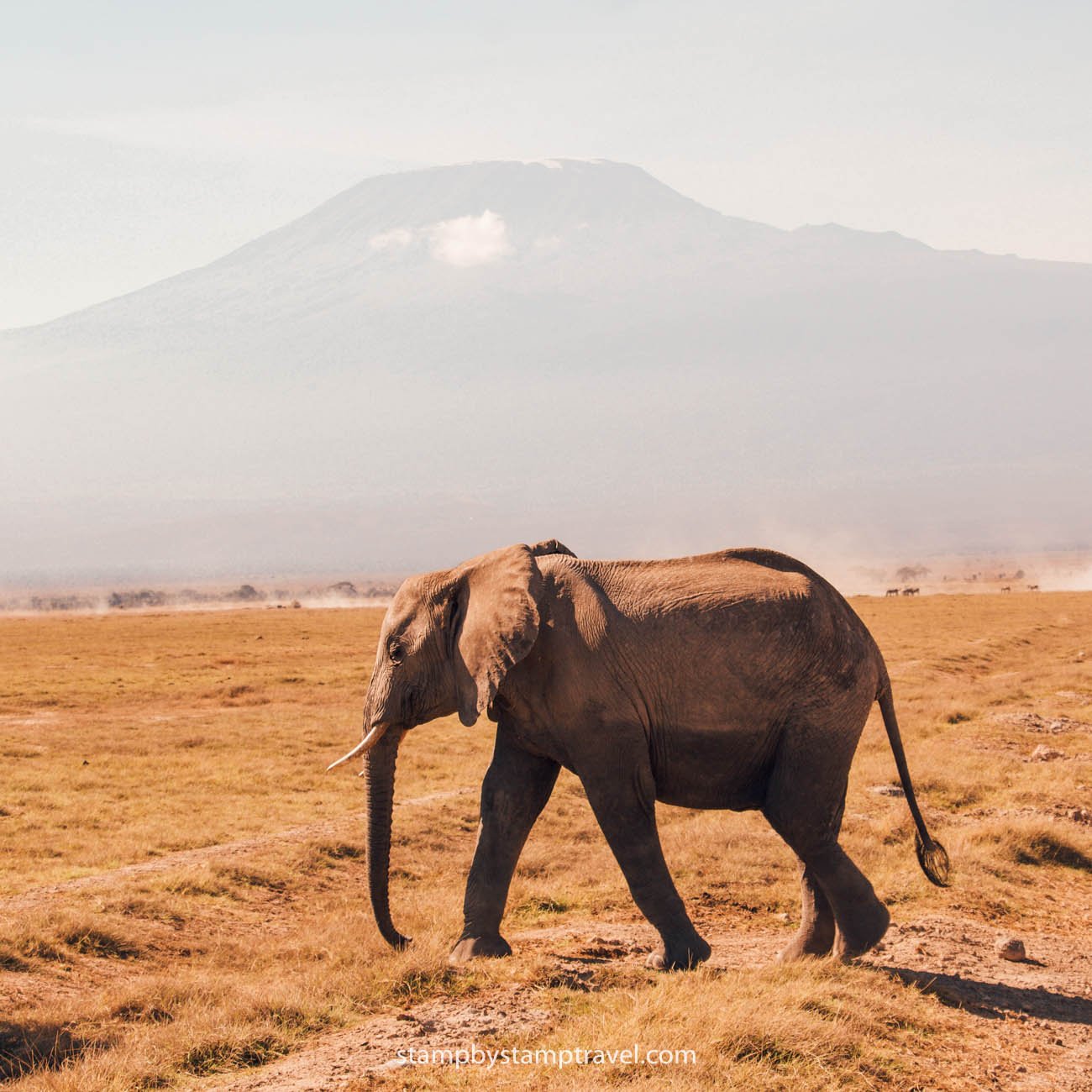 Kenia, otro destinazo para verano