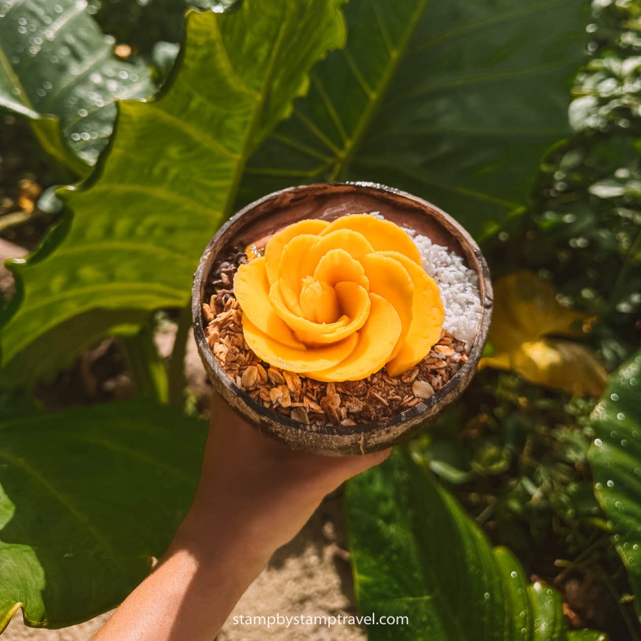 Bowl de Acai en Shaka
