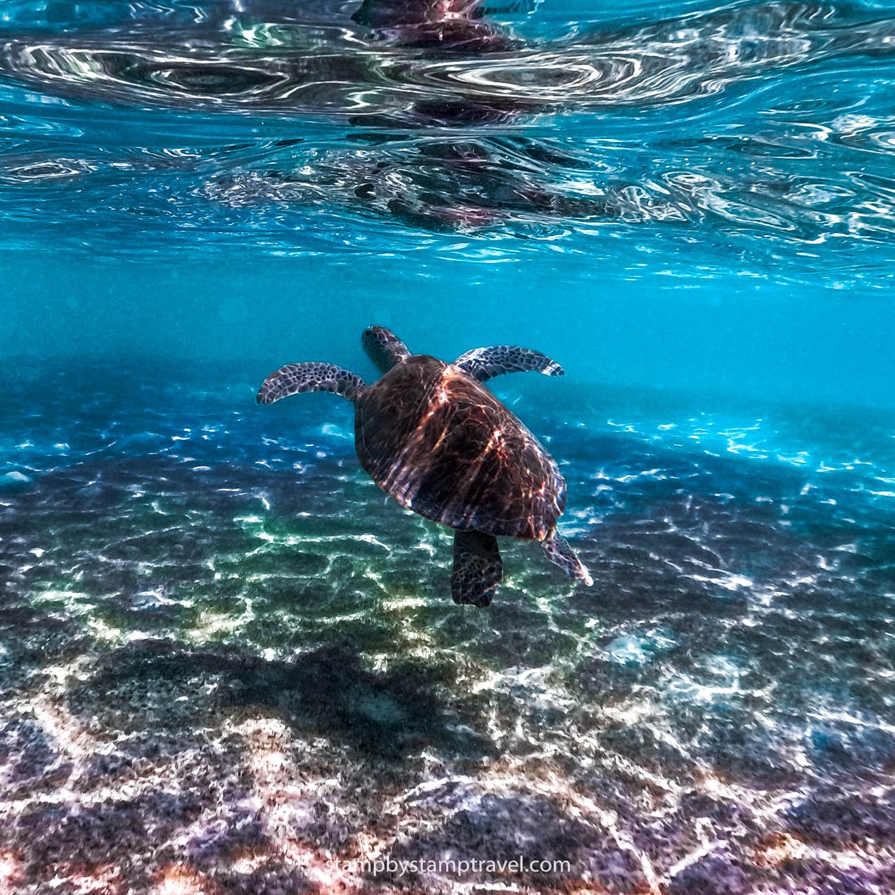 Qué ver en Filipinas si amas el buceo