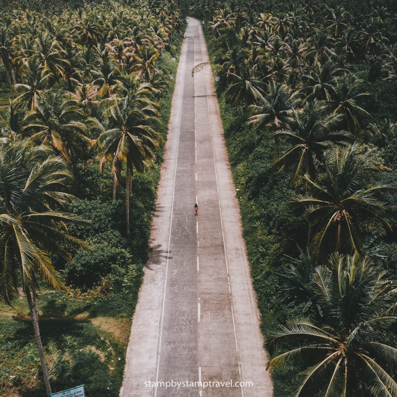 Coconut Road, otro lugar que ver en Siargao