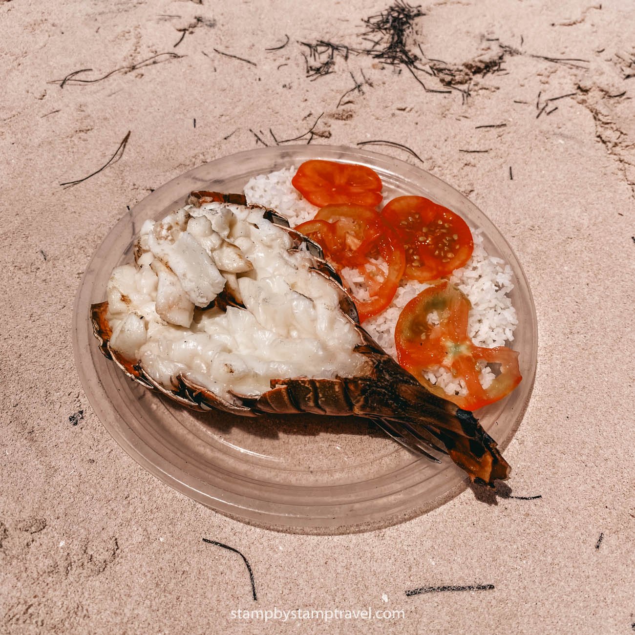 Comida Cayo Jutías