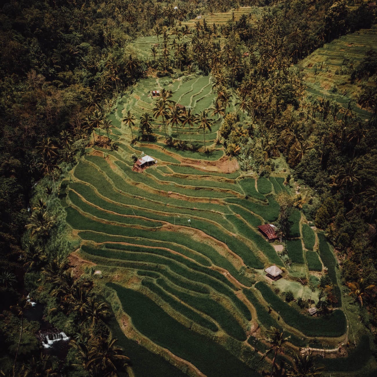 Indonesia, un destion para agosto de este año