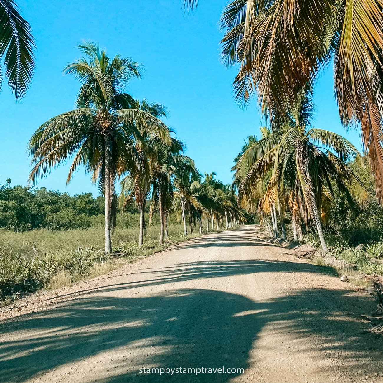 Camino para llegar a Cayo Jutías