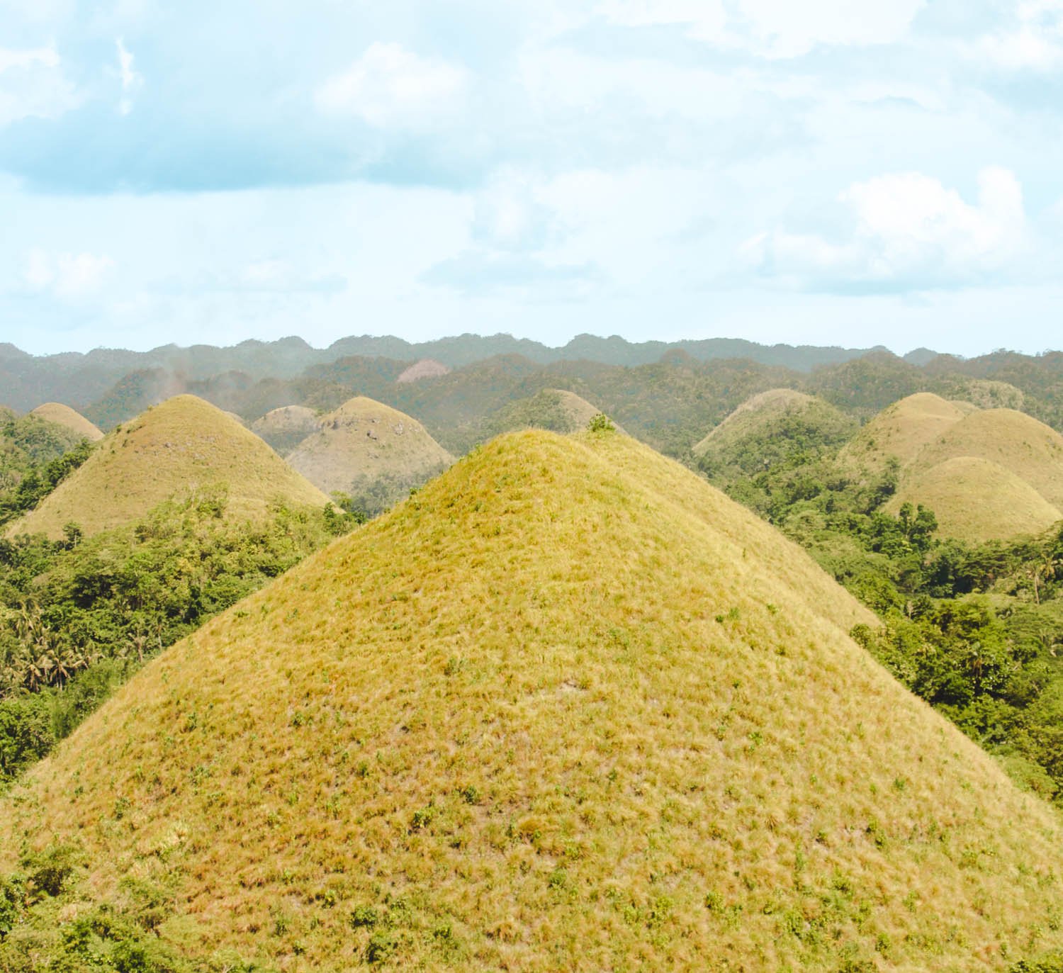 Qué ver en Bohol
