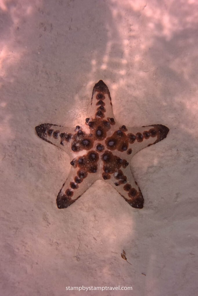 Estrella en Balabac Filipinas