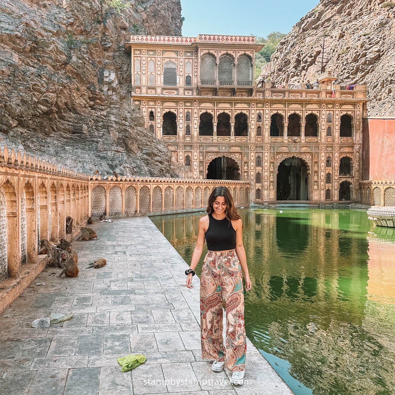 Templo de los monos que ver en Jaipur