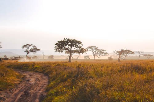 Guía de Tanzania