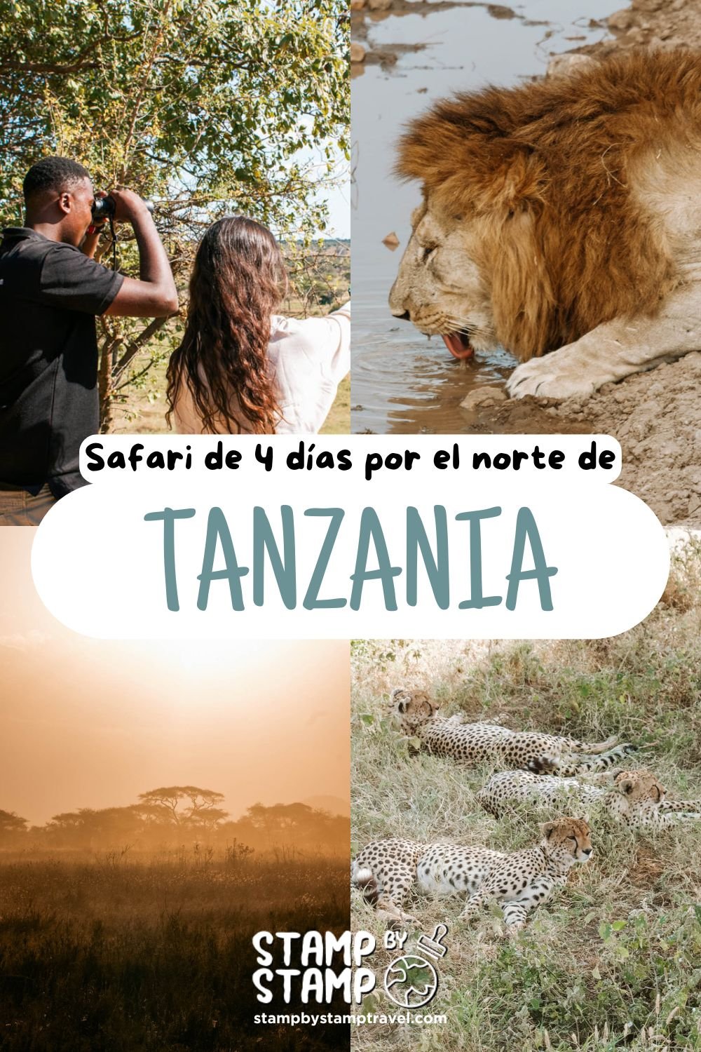 Portada Vlog Safari en Tanzania