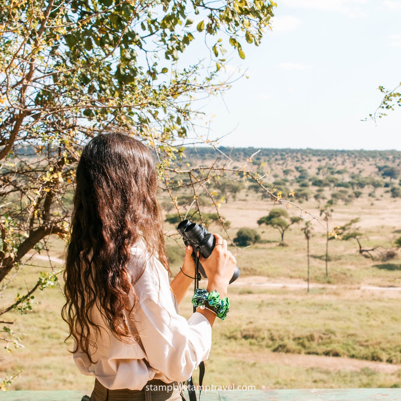 Leyre en safari