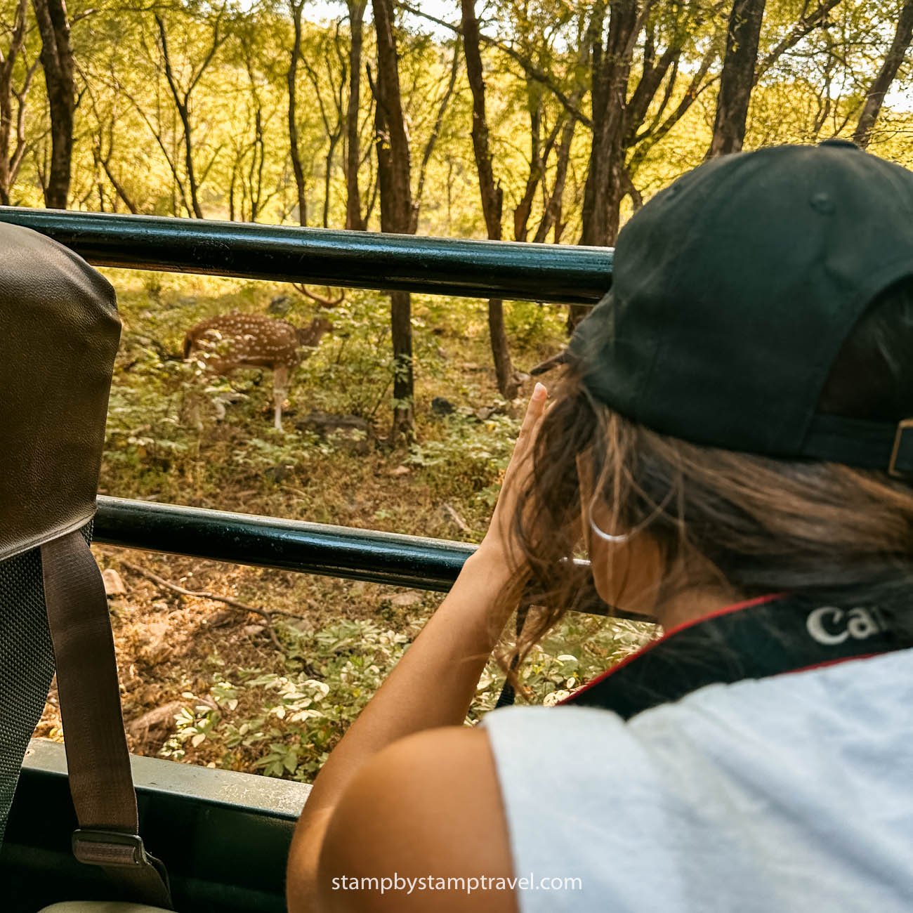 Leyre en Ranthambore National Park