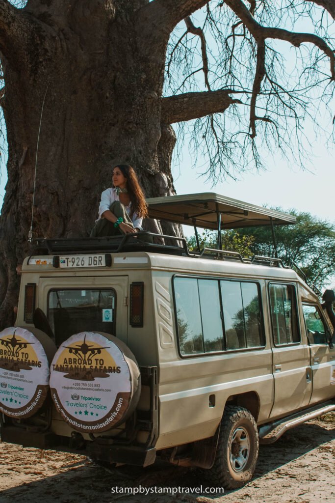 Leyre en Tarangire durante safari en Tanzania