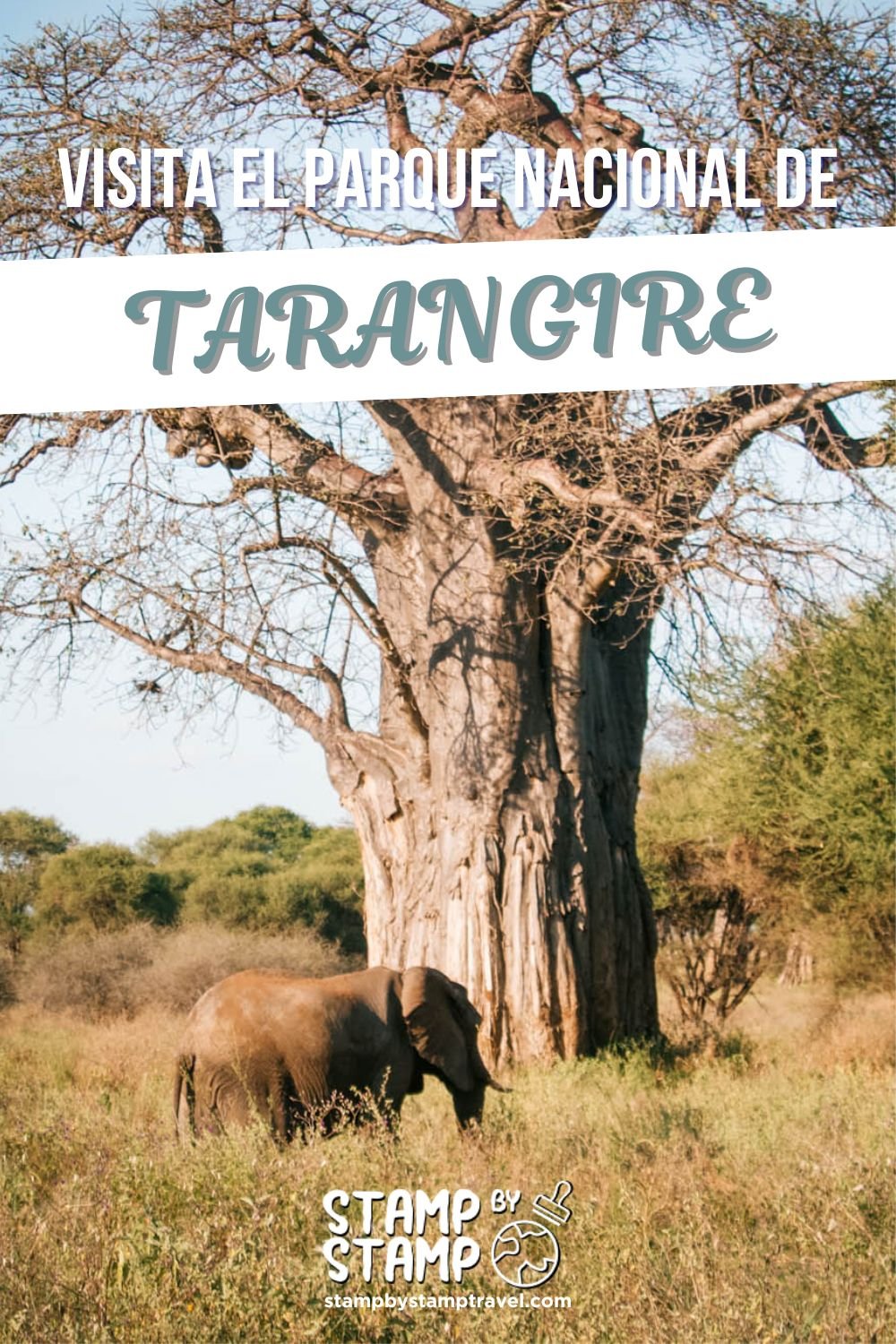 Portada Vlog Tarangire National Park