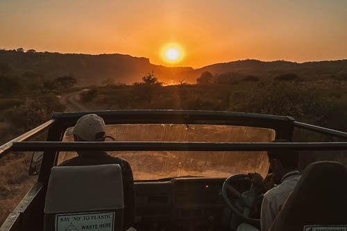 Ranthambore National Park