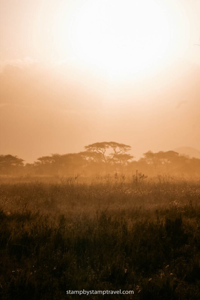 Sabana en el safari en Tanzania