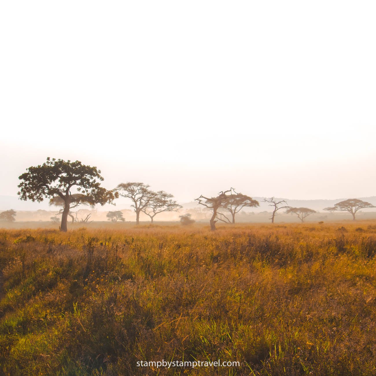 Serengueti en Tanzania
