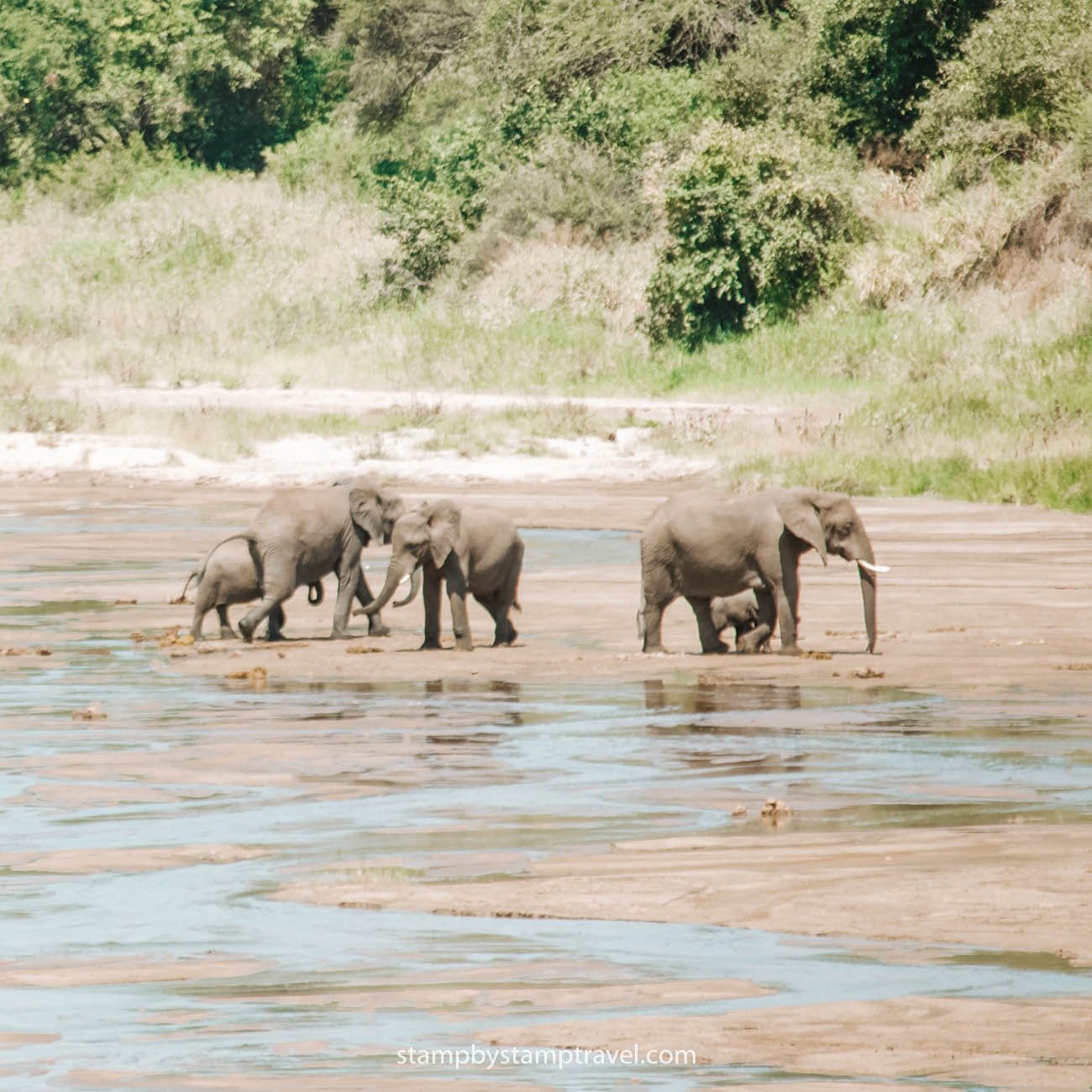Vistas del parque nacional de Tarangire en Tanzania