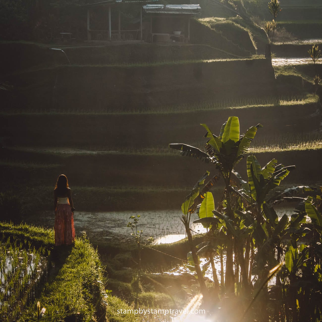 Arrozales en la mejor época para viajar a Bali