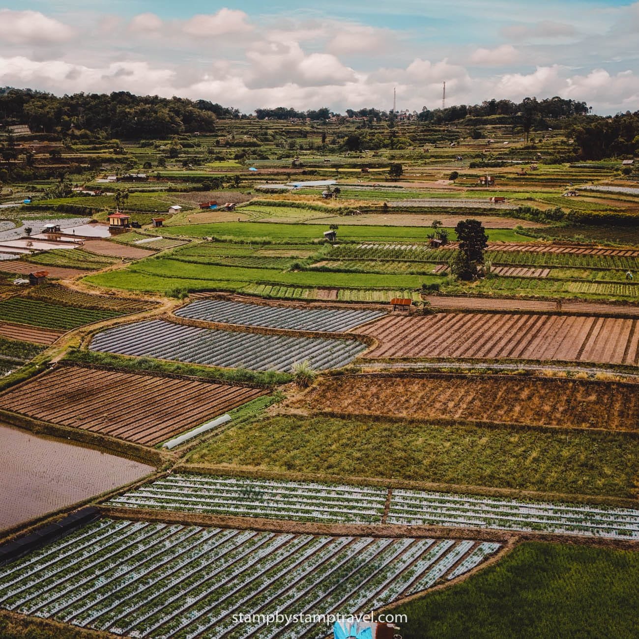 Arrozales de Pandai Sikek, en la ruta por Sumatra