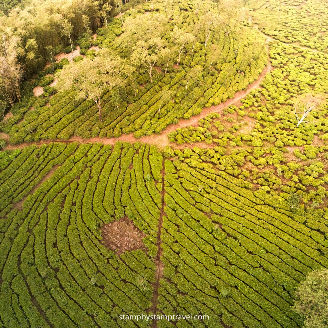 Bukit Kuneer, otra cosa que ver en Malang
