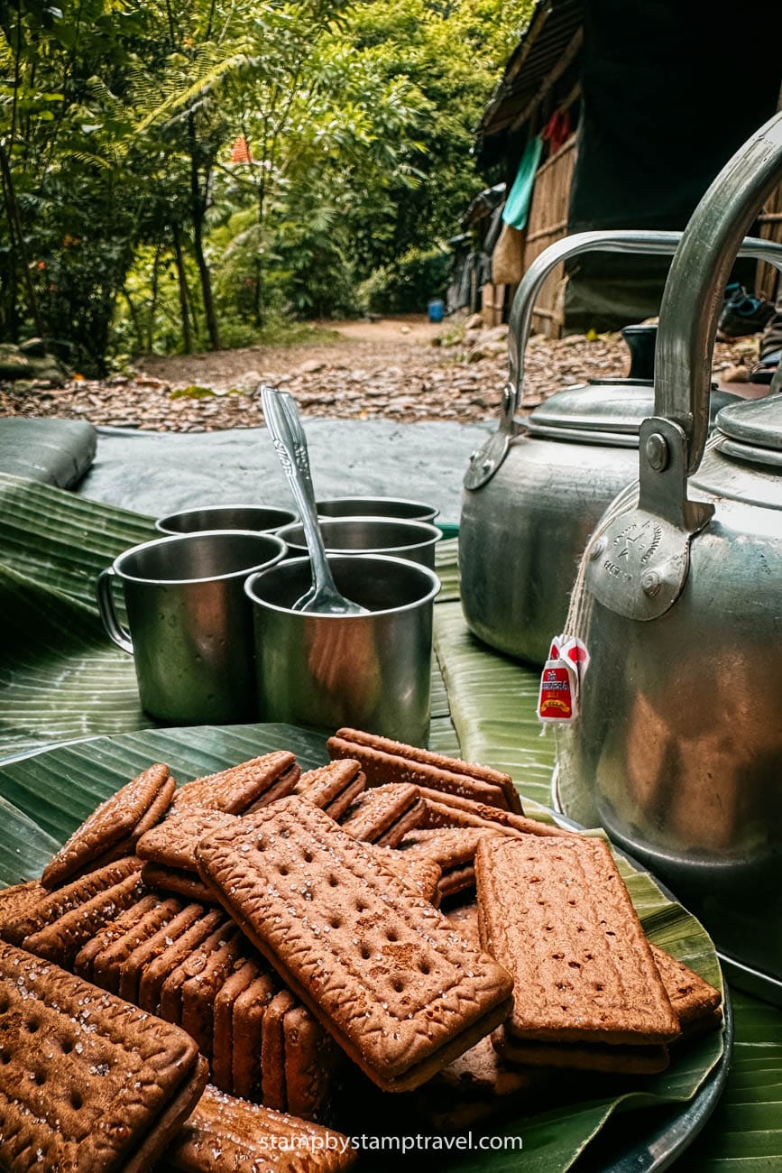 Qué esperar de la selva de Sumatra