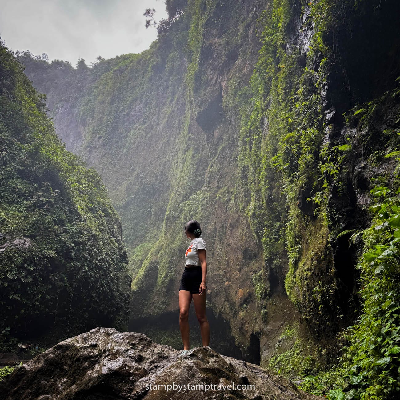Leyre en la base de Tumpak Sewu