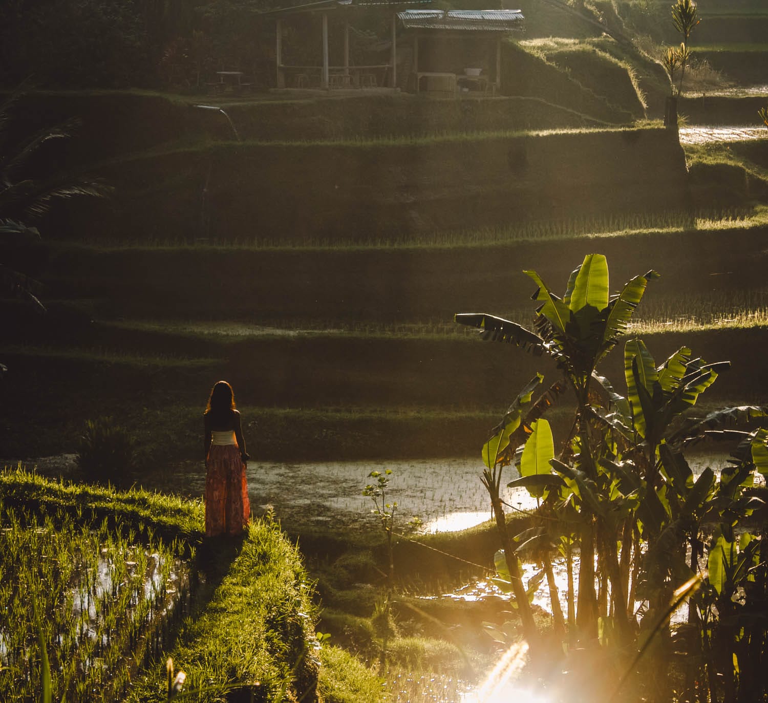 Arrozales de Tegalalang en Bali