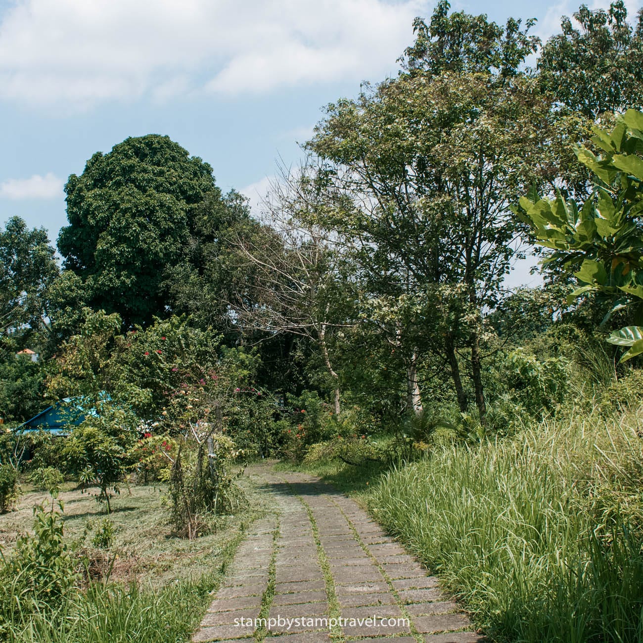 Campuhan Ridge en Ubud