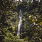 Las mejores cascadas de Bali