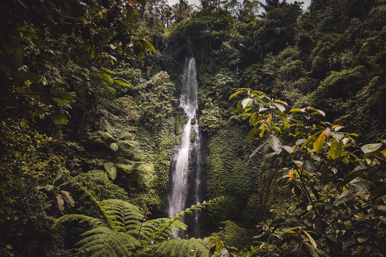 Las mejores cascadas de Bali