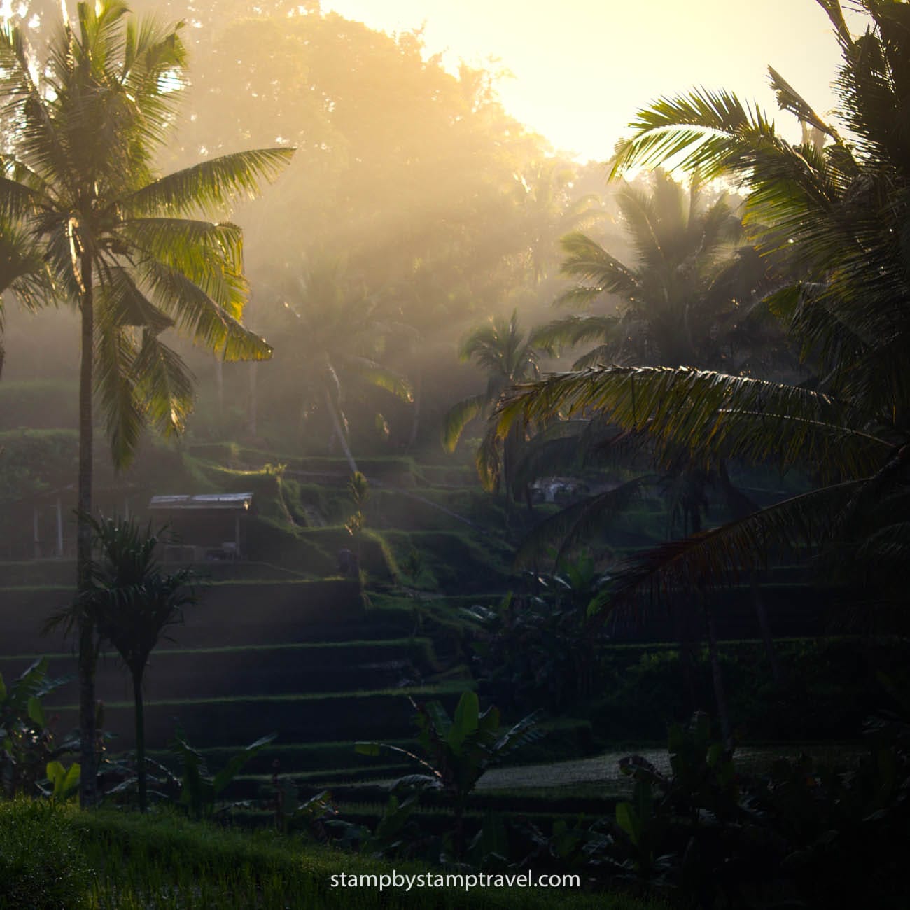 Cosas que ver en Ubud