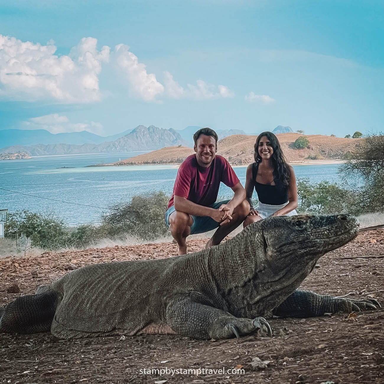 Dragones de Komodo en el Tour de Komodo