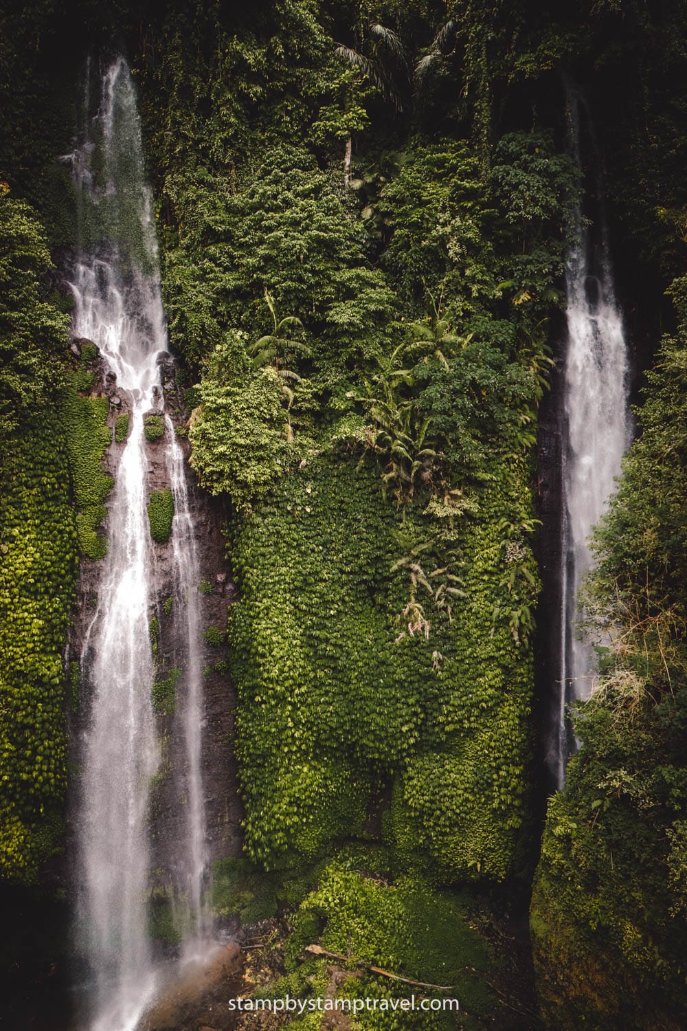 Fiji Waterfall junto a Sekumpul