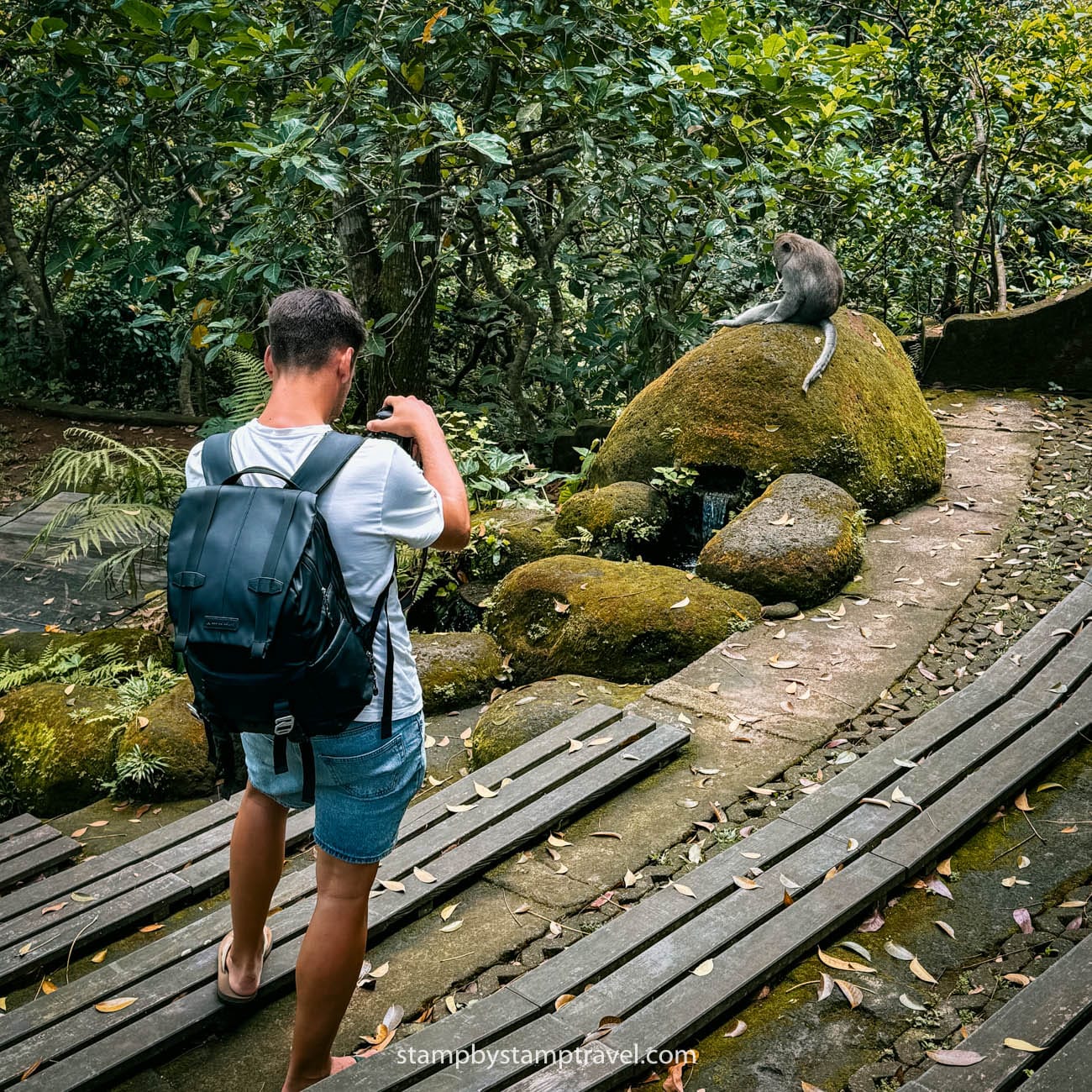 Foto lejos Templo de monos de Ubud