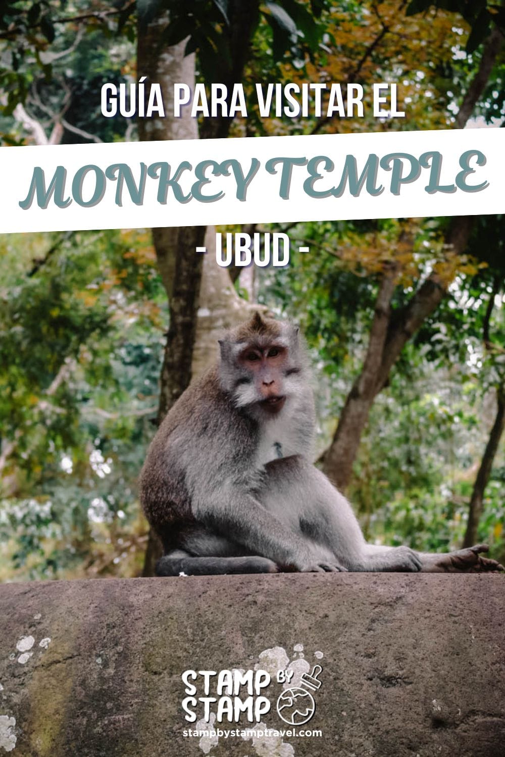 Portada Vlog Bosque de los Monos de Ubud