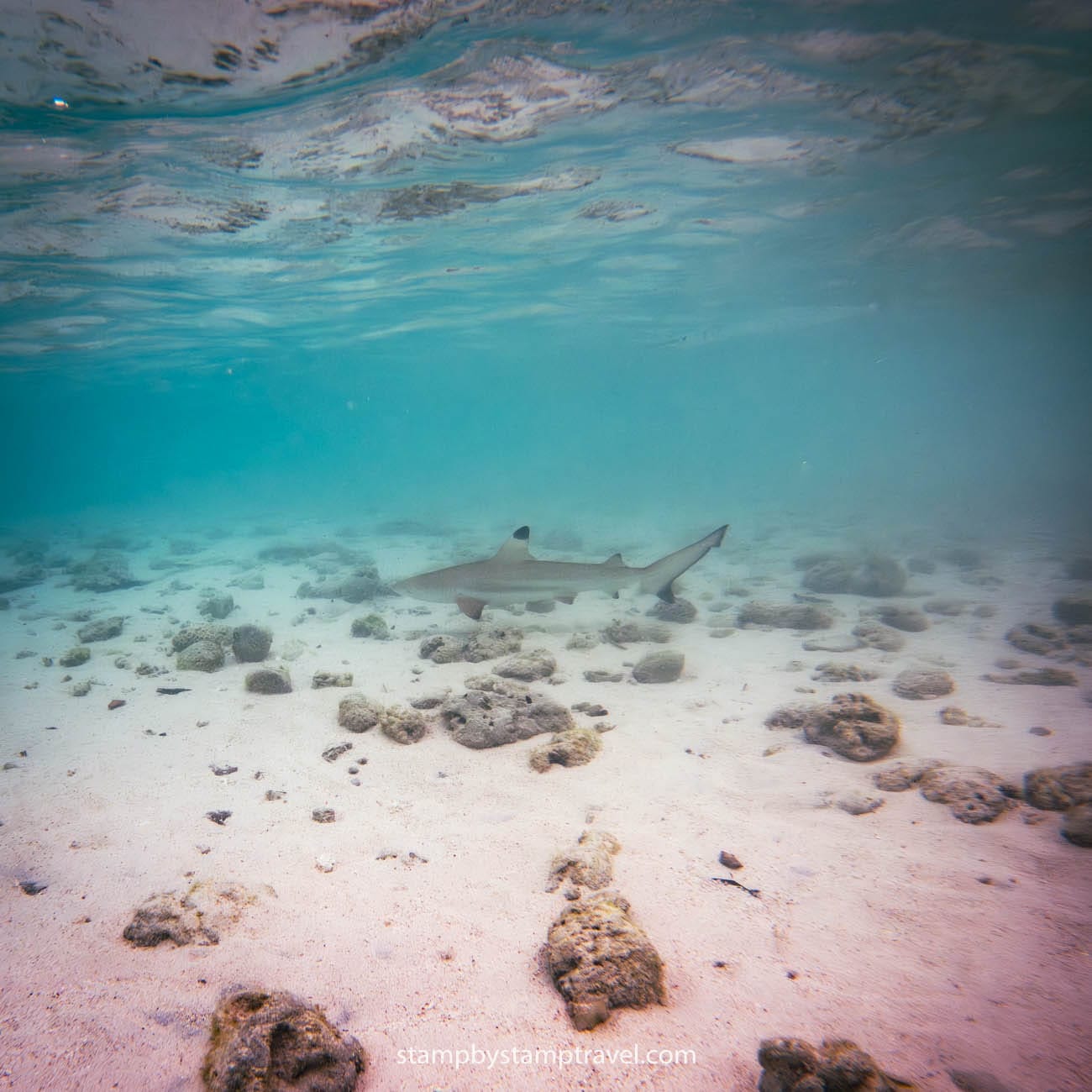 Kelor Island en el Tour por el Parque Nacional de Komodo