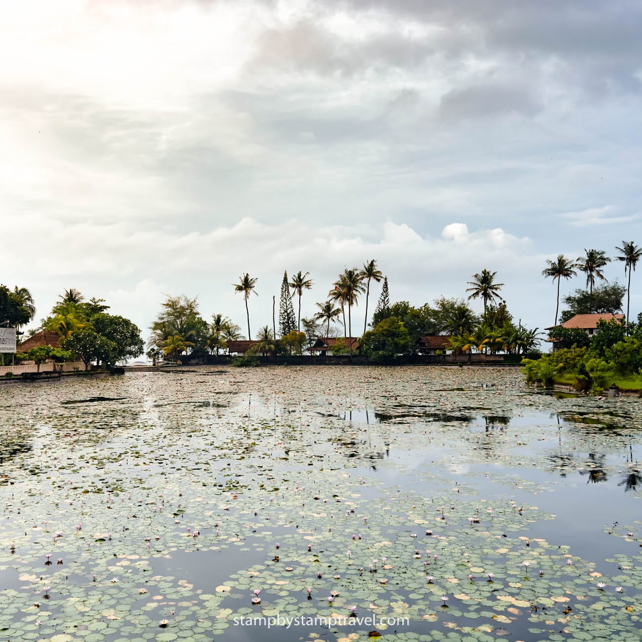 Lago de Loto en Candidasa Bali
