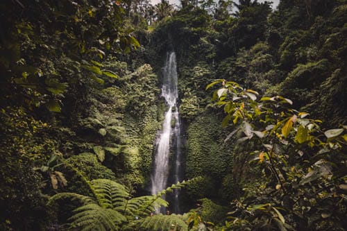 Mejores cascadas de Bali