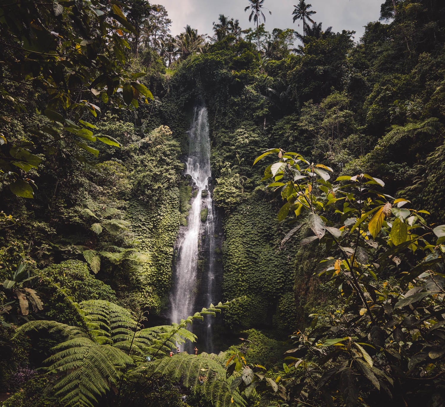 Cascadas de Bali
