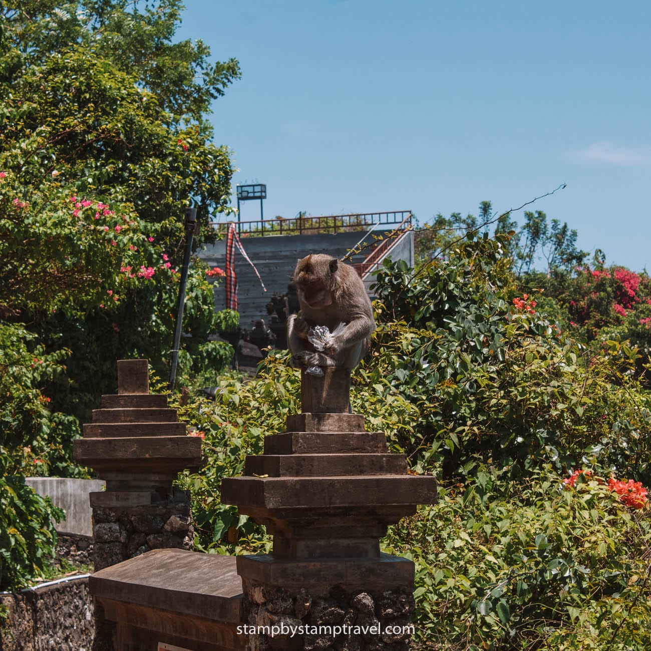Monos en el Templo de Uluwatu