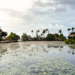 Qué ver en Candidasa en Bali