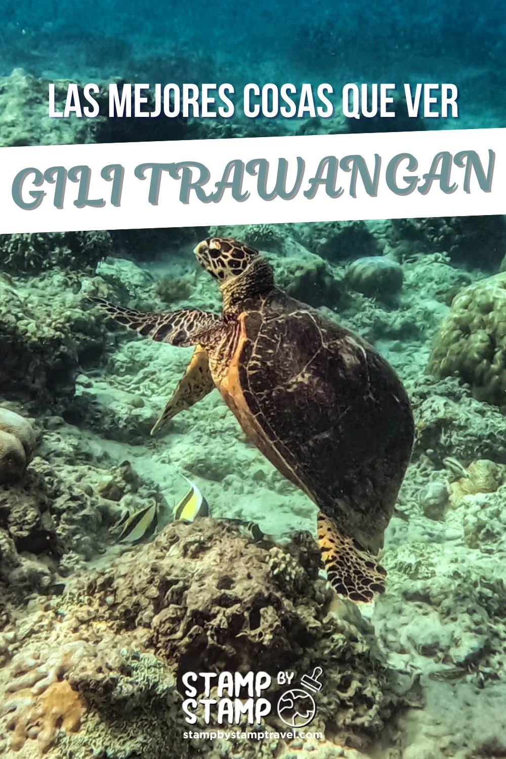 Portada Vlog Que ver en Gili T