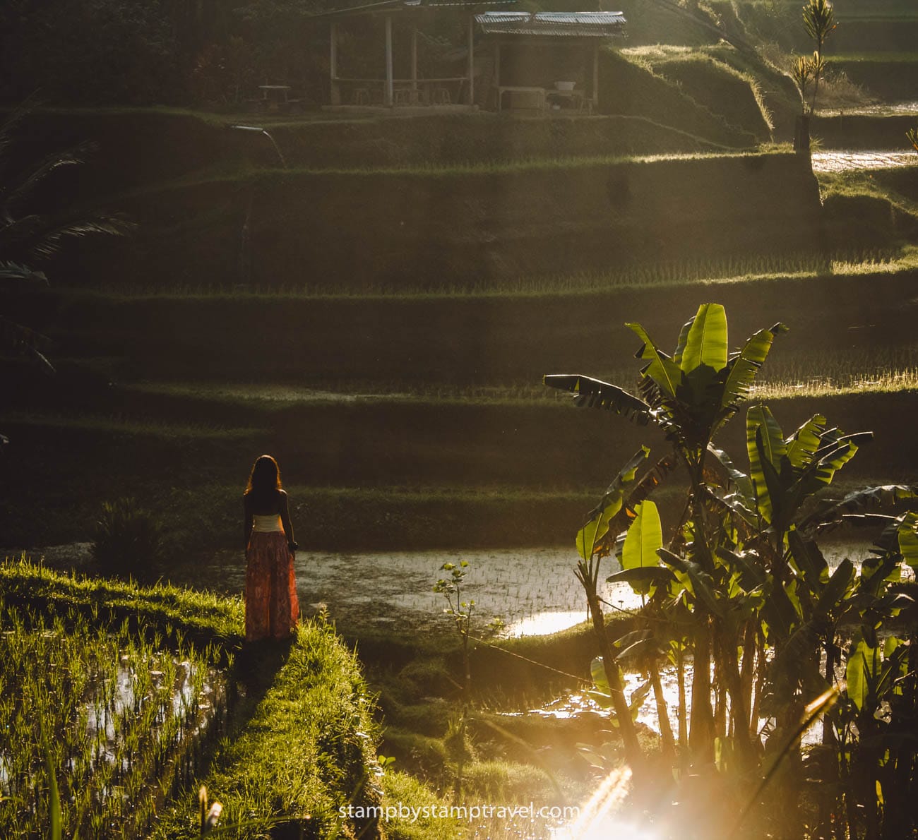 Leyre mirador de Tegalalang Bali