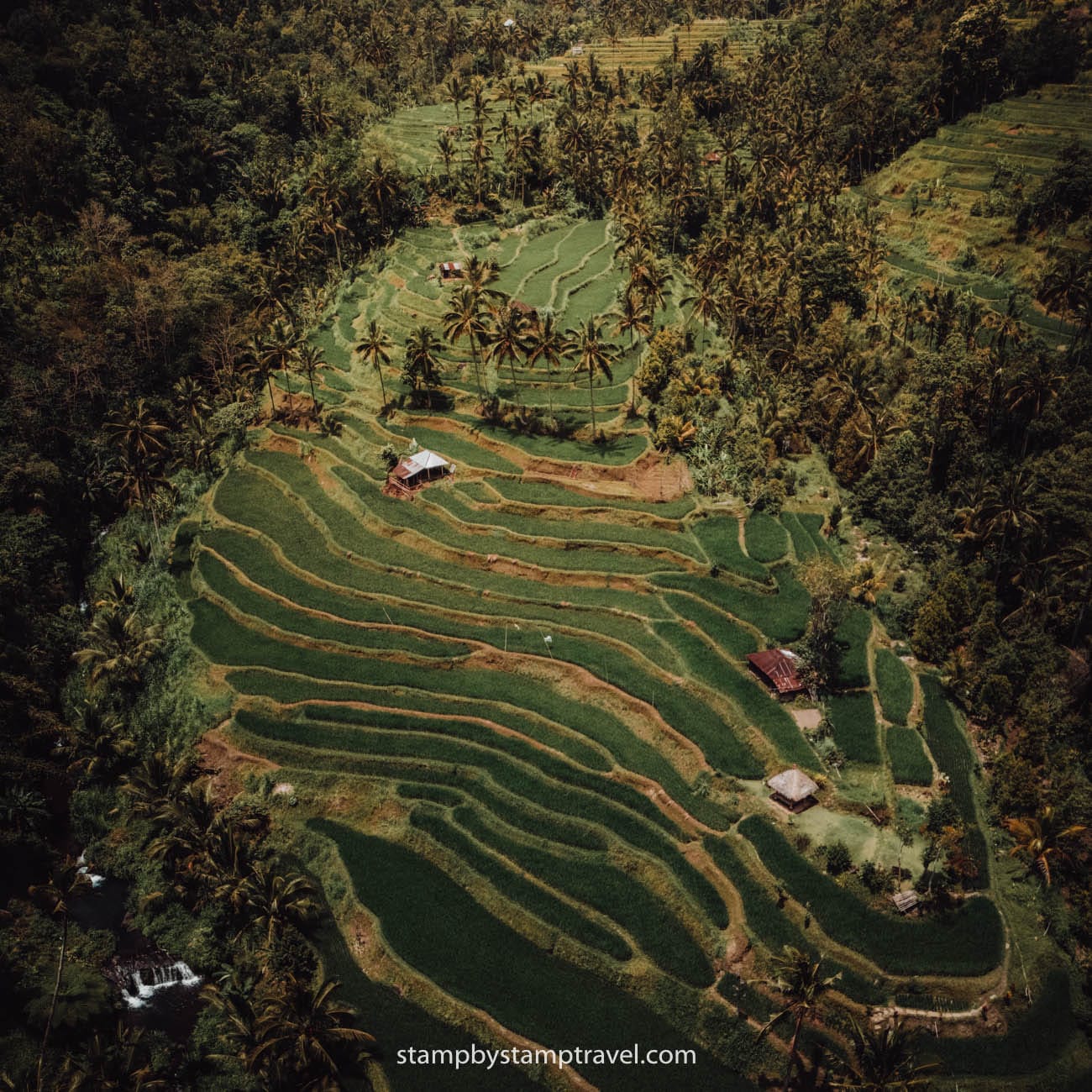 Arrozales del viaje a Indonesia 15 días