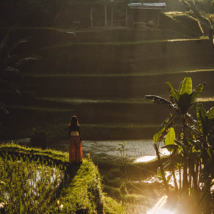 Bali 10 días Arrozales