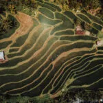 Qué ver en Bali en 10 días