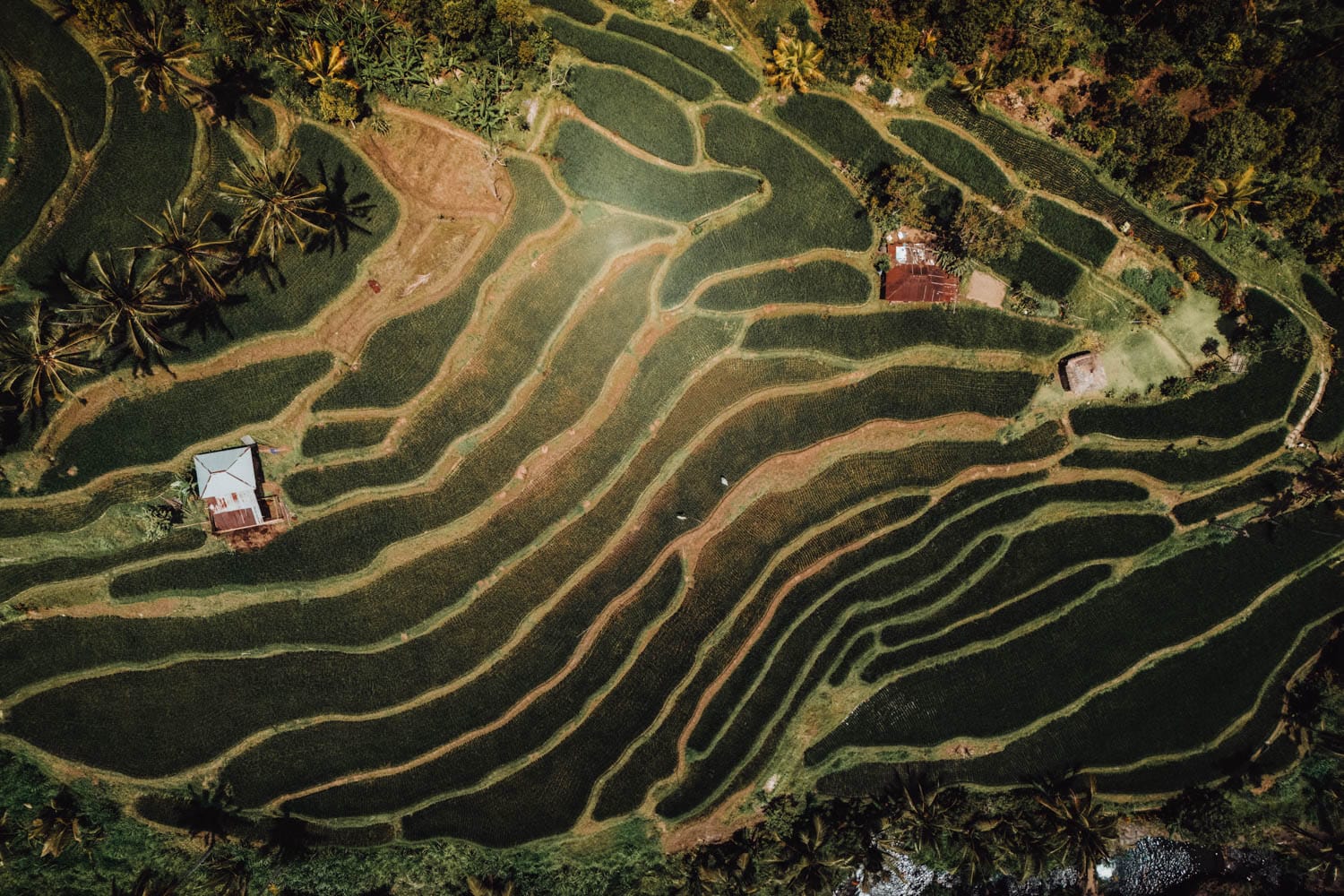 Qué ver en Bali en 10 días