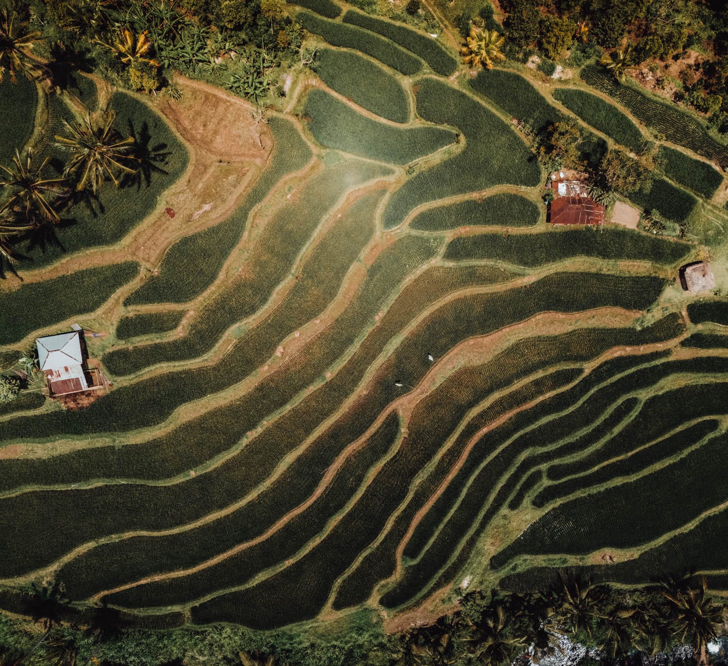 Qué ver en Bali en 10 días